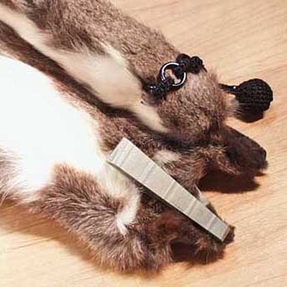 SHAWL, RUSSIAN SQUIRREL, 1957, GREY BACKS/WHITE BELLIES, EACH OF THE FOUR IS 28 - Picture 6 of 11